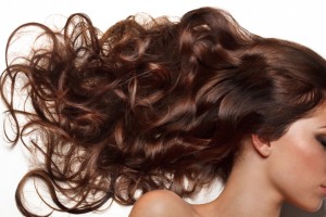 Curly brown hair over white background
